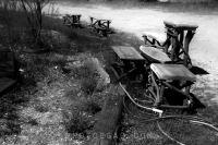 Elderberry Farms Benefit 2010